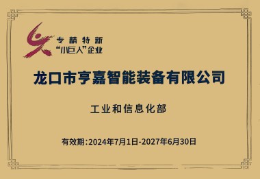 專精特新小巨人 專精特新小巨人